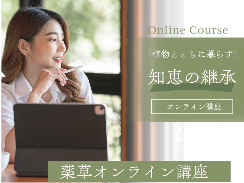 薬草オンライン講座